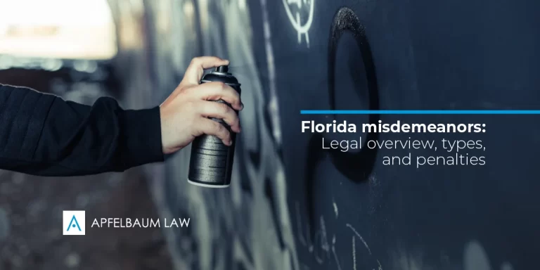 Florida misdemeanors guide