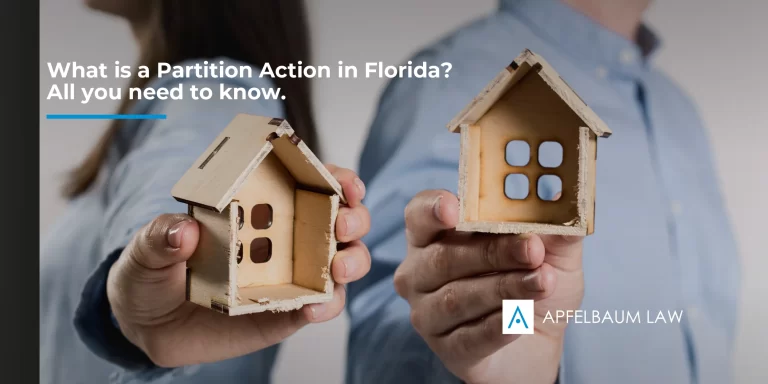 Partition action in Florida